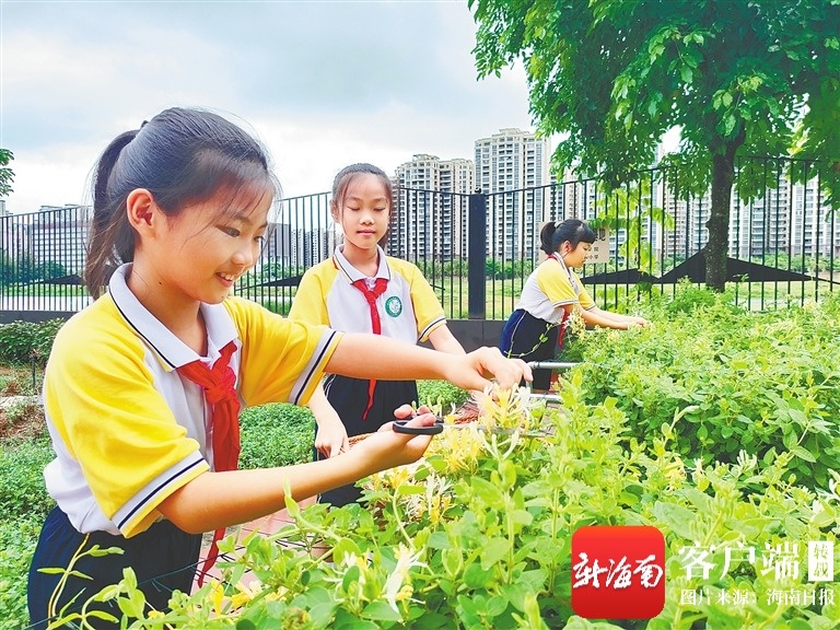 织黎锦、“追火箭”、画沙画……海南社团课程“花样百出” 织黎锦、“追火箭”、画沙画……海南社团课程“花样百出”
